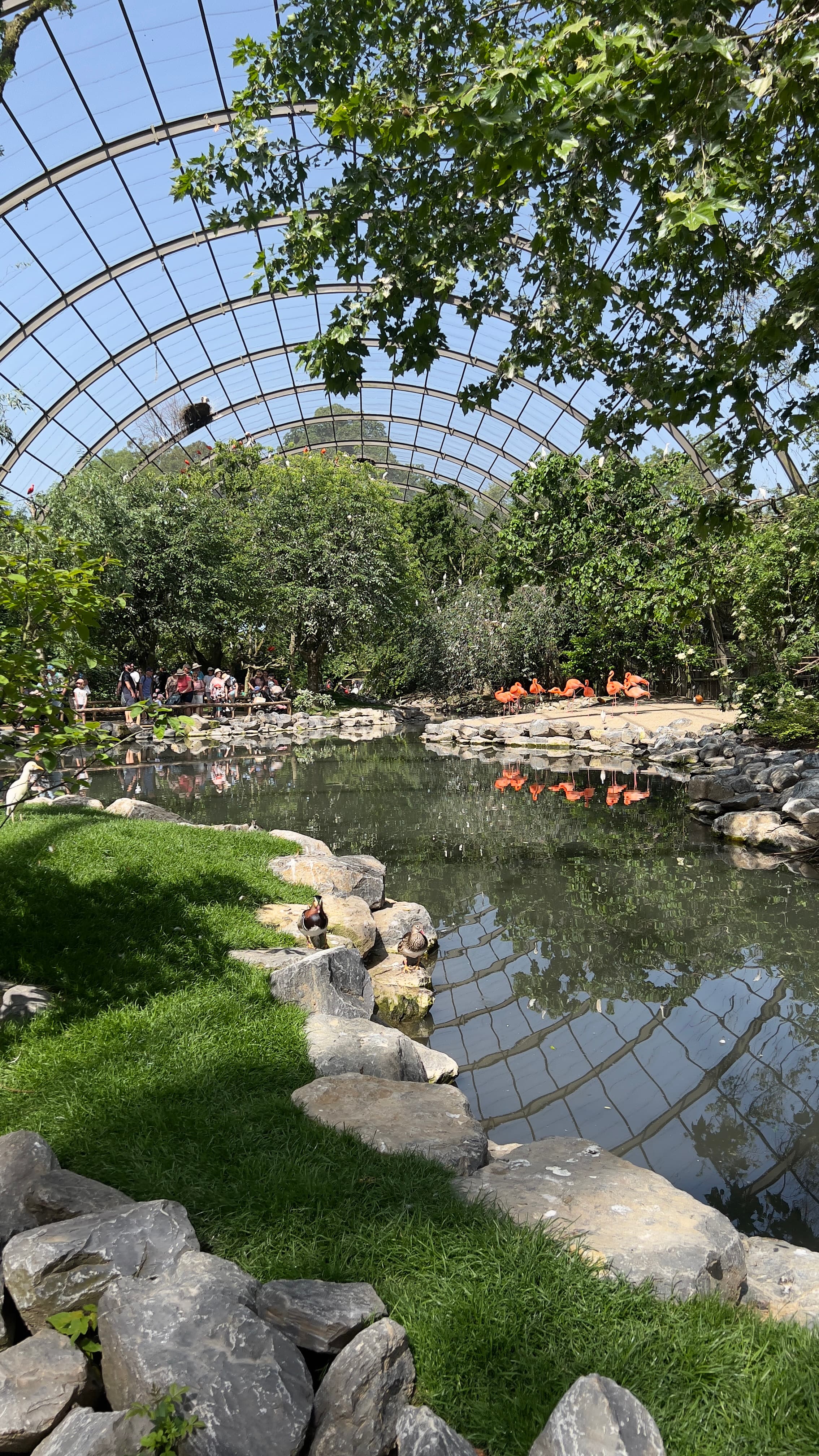 Pairi Daiza Belgium: What Nobody Tells you Before You Visit